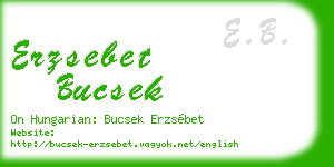 erzsebet bucsek business card